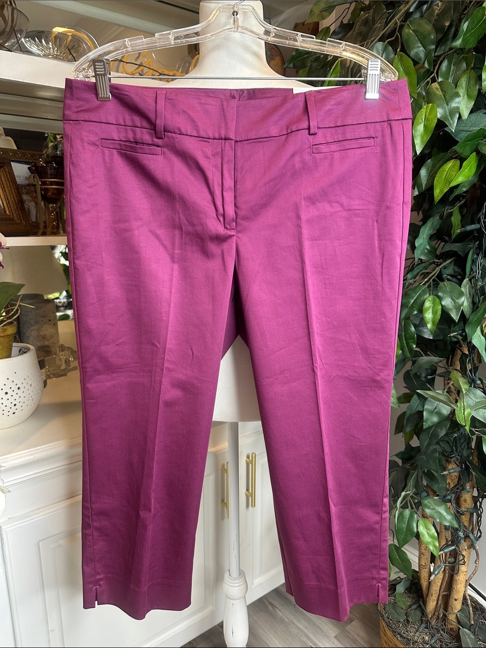 🆕LOFT Fuchsia/Magenta Cotton Crop Petite Ankle Pants, 12P